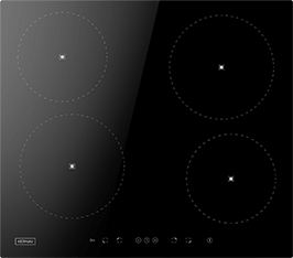 Induktionsfeld Reparatur Saalfeld